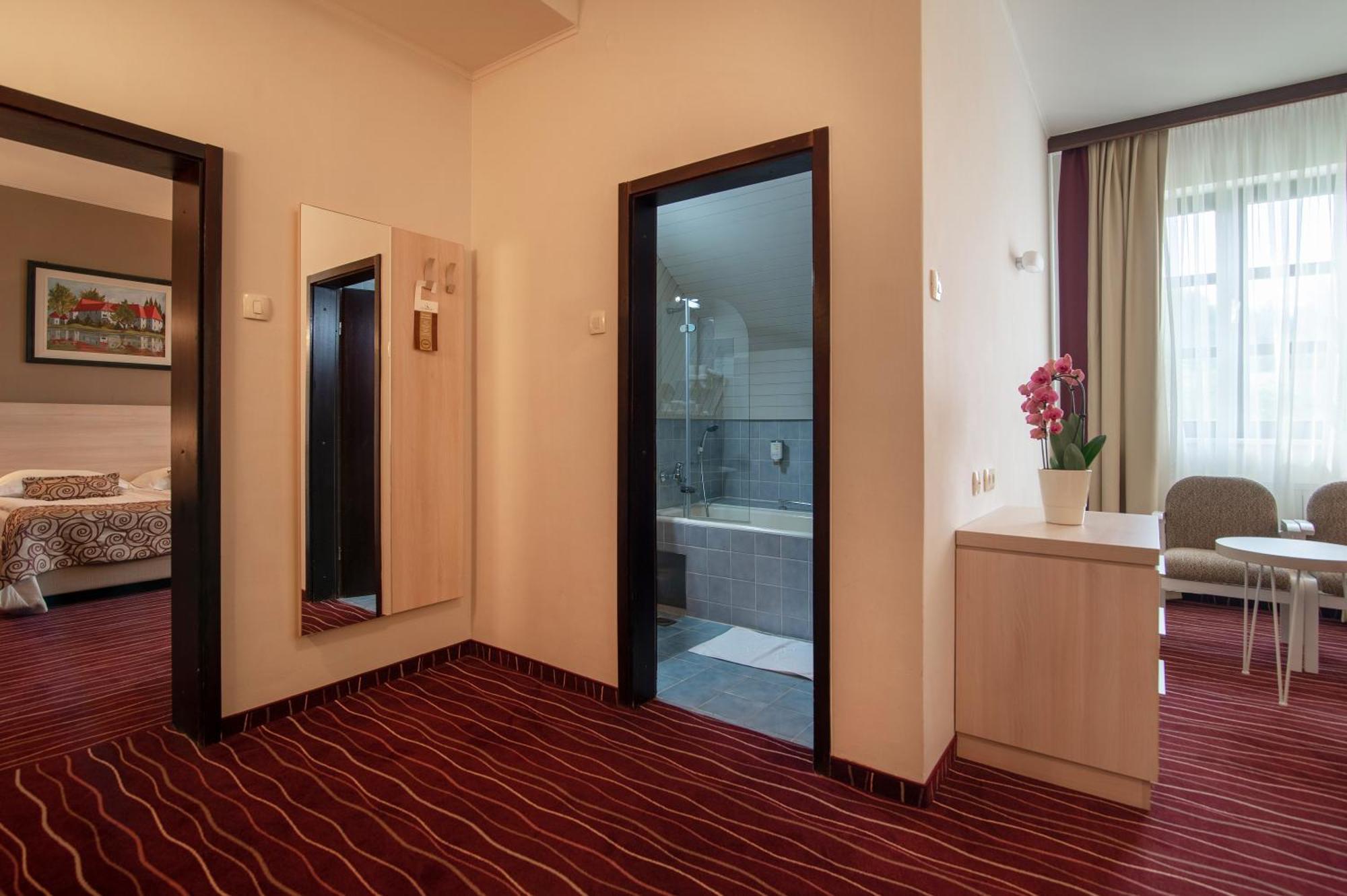 Hotel Zagreb - Health & Beauty Рогашка-Слатіна Номер фото